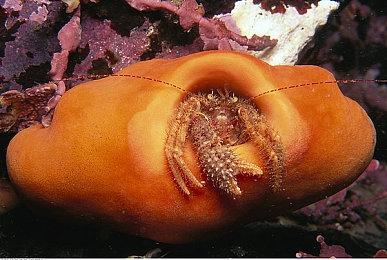 悬疑推理冒险游戏《费伯罗》2月4日发售